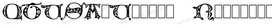 QTUSA-Uncial Regular字体转换